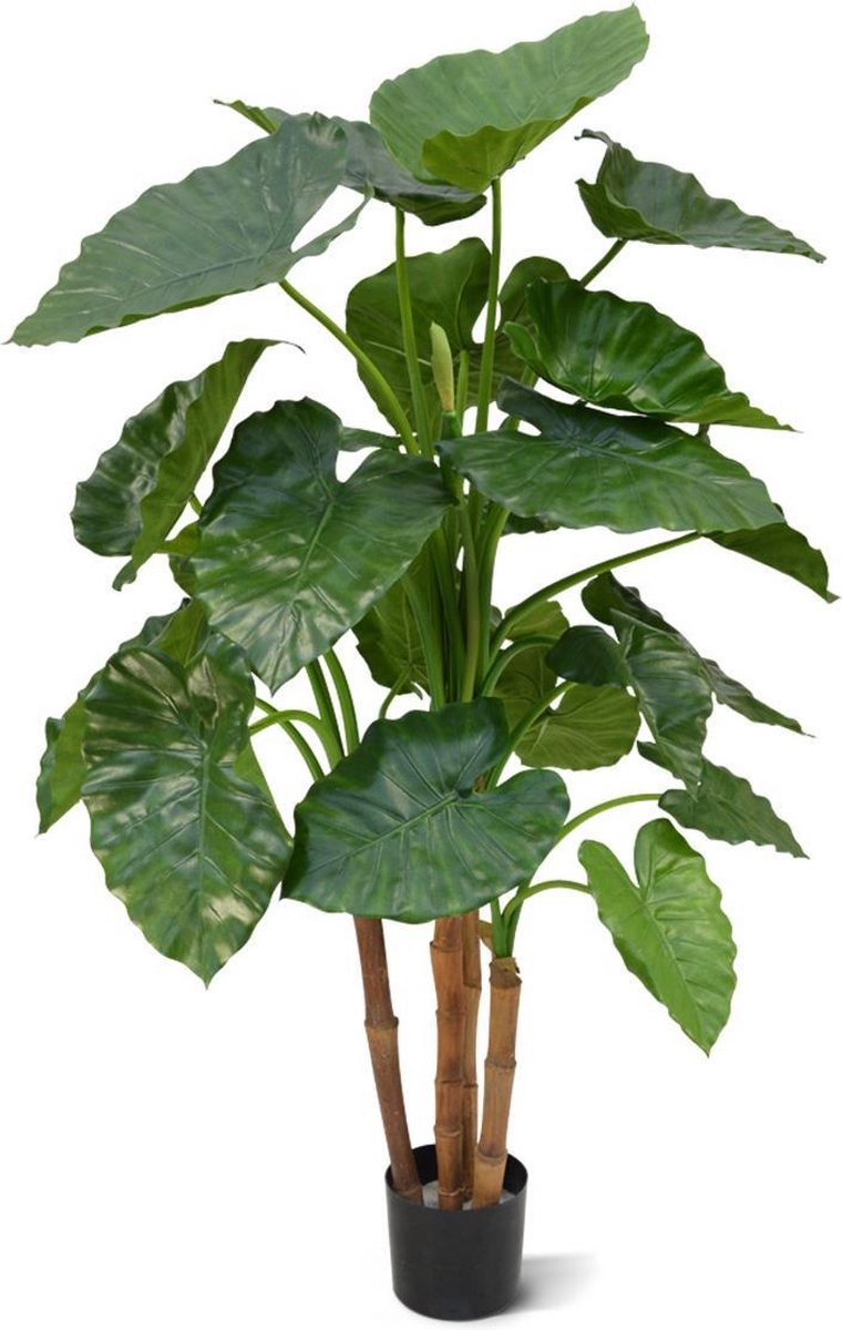 maxifleur Kunstplanten Alocasia Calidora deluxe kunstplant 125cm Groen