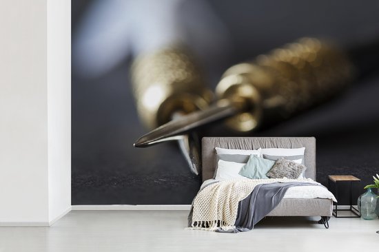 Papier peint photo peint photo vinyle - Fléchettes largeur 330 cm x hauteur 220 cm - Tirage photo sur papier peint (disponible en 7 tailles)