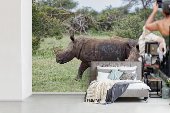 dienen wijsvinger patroon Fotobehang Safari - Witte neushoorns worn gespot op safari breedte 360 cm x  hoogte 240... | bol.com