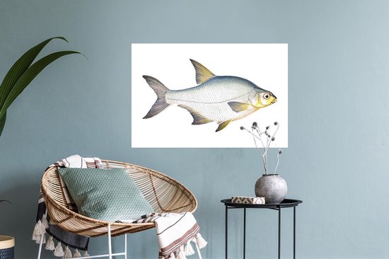 Stickers Stickers muraux - Poisson - Kolblei - Réalisme - 60x40 cm - Feuille adhésive