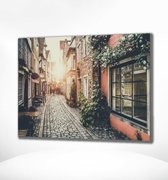 Painting Expert® Schilderen op nummer Volwassenen – Schilderen op nummer Kinderen - Steegje - 60x75cm - Exclusief Lijst (36 kleurtjes)