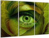 GroepArt - Schilderij -  Oog - Groen, Bruin - 120x80cm 3Luik - 6000+ Schilderijen 0p Canvas Art Collectie