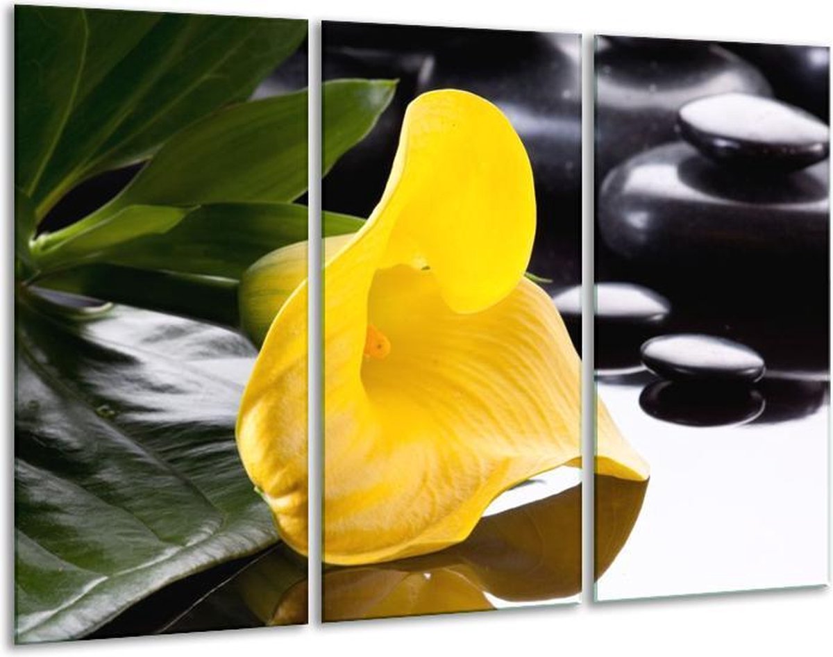 Glasschilderij Bloem - Geel, Zwart, Wit - 120x80cm 3Luik - Foto Op Glas - Geen Acrylglas S