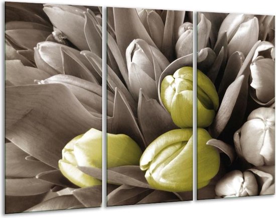 Glasschilderij Orchidee - Bruin, Groen, Zwart - 120x80cm 3Luik - Foto Op Glas - Geen Acrylglas Schilderij - GroepArt 6000+ Glas Art Collectie - Maatwerk Mogelijk