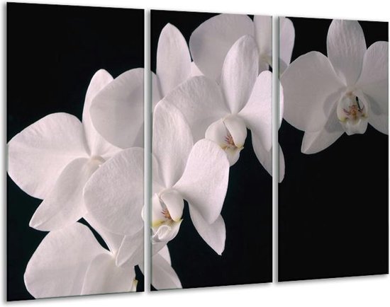 Glasschilderij Orchidee - Wit, Zwart - 120x80cm 3Luik - Foto Op Glas - Geen Acrylglas Schilderij - GroepArt 6000+ Glas Art Collectie - Maatwerk Mogelijk