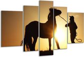 Glasschilderij Paard - Zwart, Geel - 170x100cm 5Luik - Foto Op Glas - Geen Acrylglas Schilderij - 6000+ Glasschilderijen Collectie - Wanddecoratie