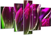 Peinture sur verre tulipe | Violet vert | 170x100cm 5 Liège | Tirage photo sur verre |  F005025