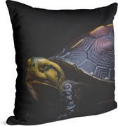 Schildpad op zwarte achtergrond - Foto op Sierkussen - 60 x 60 cm