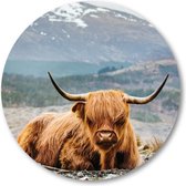 Schotse Hooglander - Muurcirkel 50cm - Wandcirkel voor buiten - Aluminium Dibond - Besteposter - Dieren - Natuur