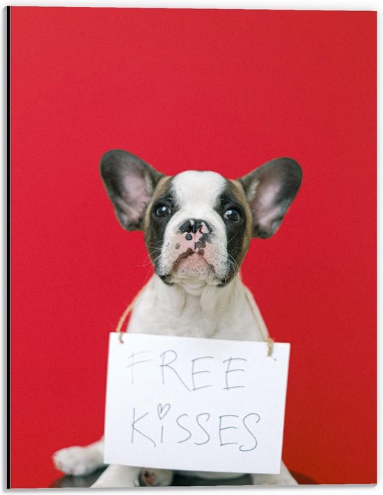 Dibond - Bulldog op Rode Achtergrond met ''Free Kisses'' Bord - 30x40cm Foto op Aluminium (Met Ophangsysteem)