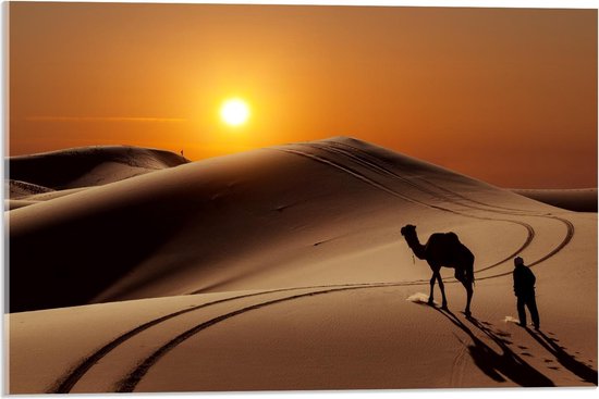 Acrylglas - Ondergaande Zon in Woestijn Gebied - 60x40cm Foto op Acrylglas (Wanddecoratie op Acrylglas)