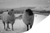 Tuinposter - Tuindoek - Tuinposters buiten - Twee schapen ​​in de sneeuw - zwart wit - 120x80 cm - Tuin