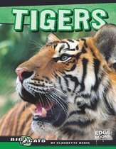 Big Cats - Tigers