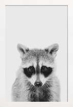 JUNIQE - Poster in houten lijst Raccoon Classic -20x30 /Wit & Zwart