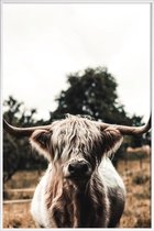 JUNIQE - Poster in kunststof lijst Boris Highland Cow -40x60 /Bruin &