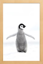 JUNIQE - Poster in houten lijst Lone Penguin -40x60 /Grijs & Wit