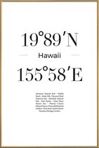 JUNIQE - Poster met kunststof lijst Hawaii -30x45 /Wit & Zwart
