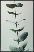 JUNIQE - Poster in kunststof lijst Eucalyptus Green -30x45 /Groen &