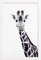 JUNIQE - Poster in houten lijst Giraffe -20x30 /Grijs & Wit