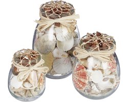 schelpen decoratie - 3 stuks - potten met schelpen - badkamer decoratie
