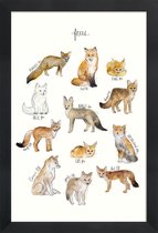 JUNIQE - Poster met houten lijst Vossen illustratie -13x18 /Bruin &