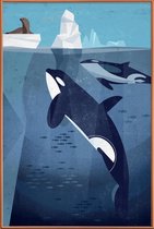 JUNIQE - Poster met kunststof lijst Vintage orka -40x60 /Blauw