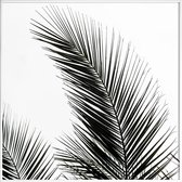 JUNIQE - Poster met kunststof lijst Palm Leaves 1 -20x20 /Groen & Wit
