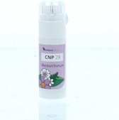 Cnp28 Medorrhinum Constitution Plex