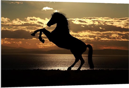 Forex - Silhouet van Steigerend Paard op het Strand - 120x80cm Foto op Forex