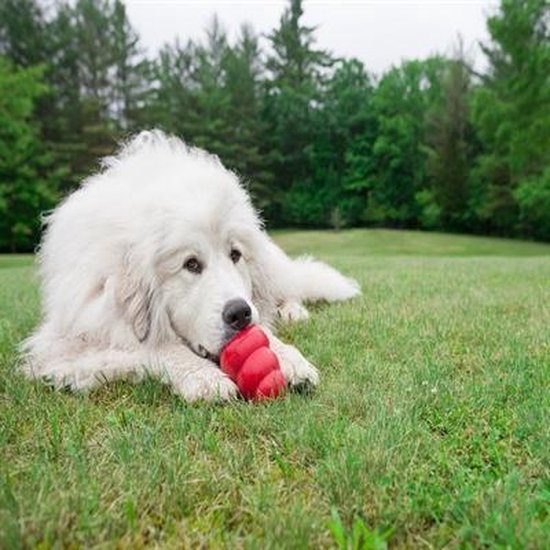KONG Classic - Snackbal Honden Speelgoed - Rubber - 10.16cm - Rood - Maat L