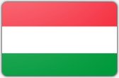 Vlag Hongarije - 70 x 100 cm - Polyester