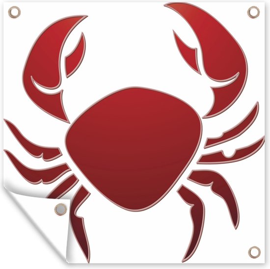 Illustration de la vue de dessus d'un poster de jardin de crabe 80x60 cm - Toile de jardin / Toile d'extérieur / Peintures d'extérieur (décoration de jardin)