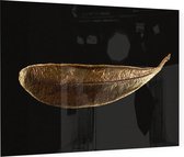Gouden blad op zwarte achtergrond - Foto op Plexiglas - 90 x 60 cm