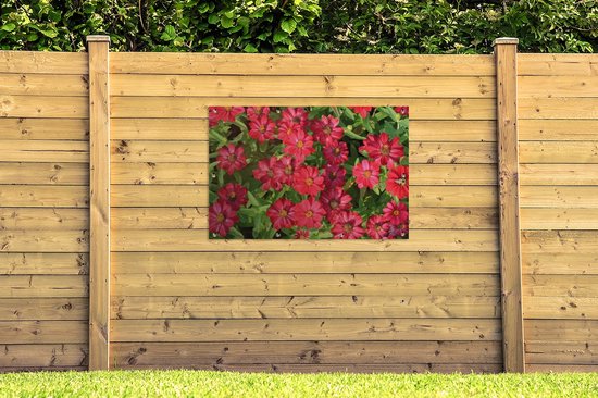 Affiche de jardin fleurs de zinnia rouge vif 120x80 cm - Toile de jardin / Toile d'extérieur / Peintures pour l'extérieur (décoration de jardin)