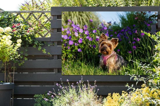 Yorkshire parmi les fleurs affiche de jardin toile en vrac 120x80 cm - Toile de jardin / Toile d'extérieur / Peintures pour l'extérieur (décoration de jardin)