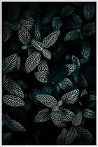 JUNIQE - Poster met kunststof lijst Dark Leaves 3 -40x60 /Groen &