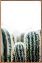 JUNIQE - Poster met kunststof lijst Cactus 1 -20x30 /Groen & Wit