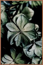JUNIQE - Poster met kunststof lijst Greenery II -40x60 /Groen