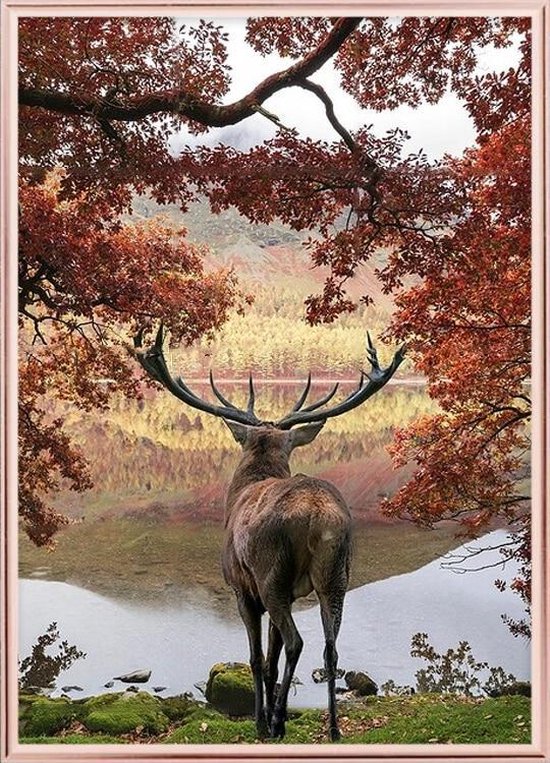 Poster Met Metaal Rose Lijst - Red Deer Poster