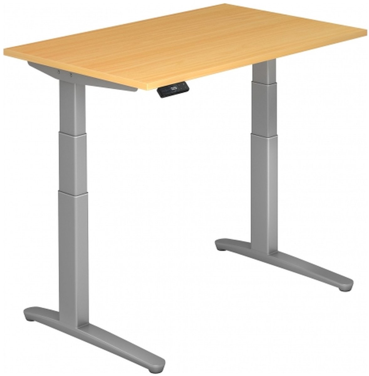 XBHM 12 SS Beuken