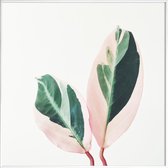 JUNIQE - Poster met kunststof lijst Pink Leaves -50x50 /Grijs & Groen