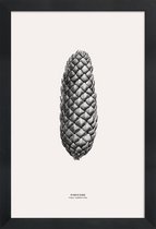 JUNIQE - Poster in houten lijst Pine Cone III -40x60 /Grijs & Ivoor