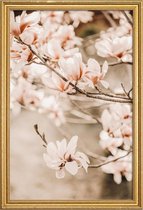 JUNIQE - Poster met houten lijst Magnolias 1 -30x45 /Bruin & Ivoor