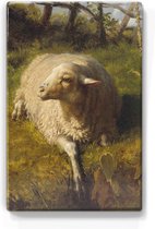 Rustend schaap - Rosa Bonheur - 19,5 x 30 cm - Niet van echt te onderscheiden houten schilderijtje - Mooier dan een schilderij op canvas - Laqueprint.