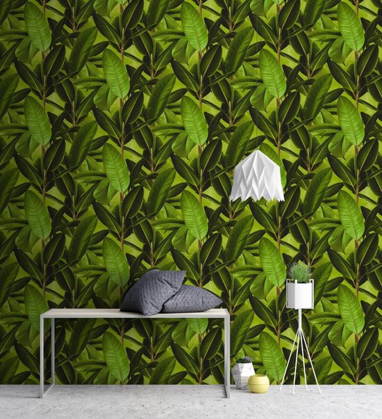 PAPIER PEINT DE FEUILLE DE PLANTES CAOUTCHOUC - Marron Vert - AS Creation Neue Bude 2.0