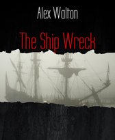The Ship Wreck