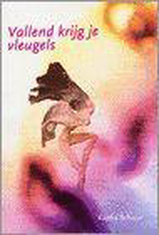 Cover van het boek 'Vallend krijg je vleugels' van R. Schuur