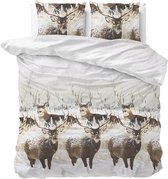 Dreamhouse Flanel Winter Deer - Dekbedovertrekset - Lits-Jumeaux - 240x200/220 + 2 kussenslopen 60x70 - Grijs