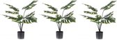 3x Groene Monstera/gatenplant kunstplant 60 cm in zwarte pot - Kunstplanten/nepplanten