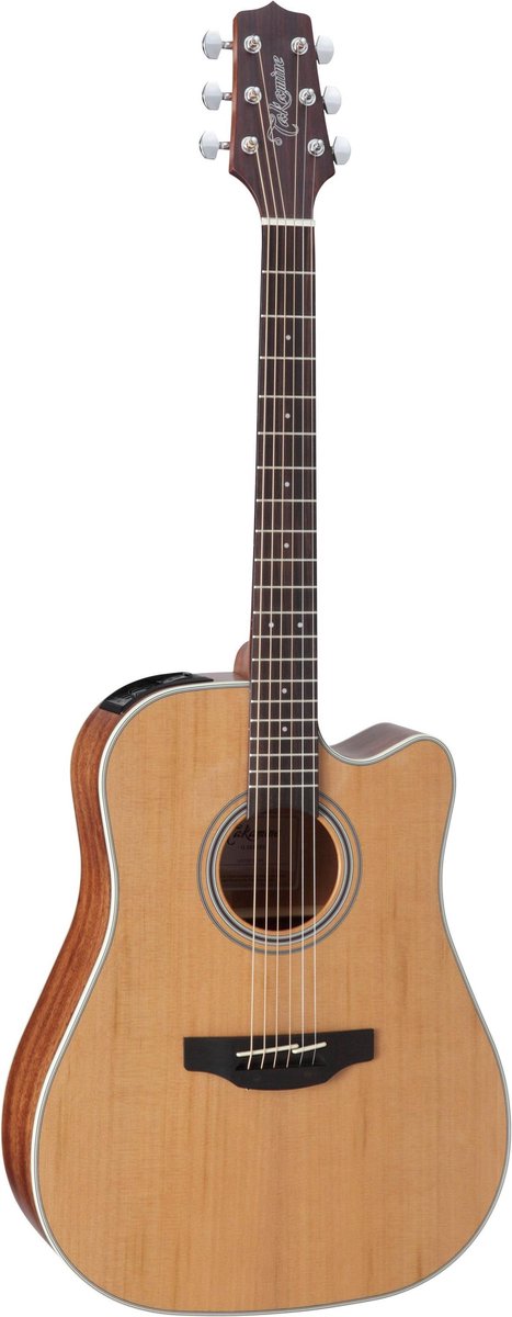 Takamine GD20CE NS2 - Akoestische gitaar